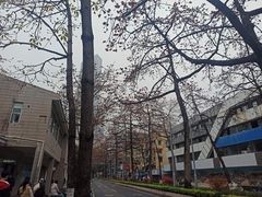 -文华公园(禅城区)