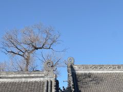 -北山公园