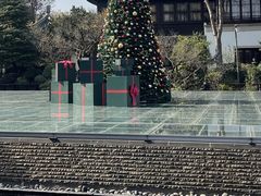 -杭州西子湖四季酒店-WL BISTRO西湖餐厅(灵隐路店)