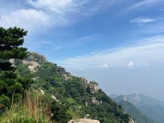 -神憩宾馆-餐厅