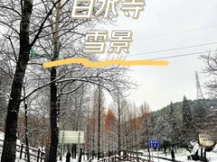 -白水寺森林公园