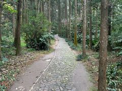 -狼山风景名胜区