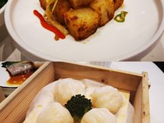 云庭汇虾饺皇-云庭汇·粤菜海鲜(东盟盛天地店)