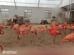 -秦皇岛野生动物园
