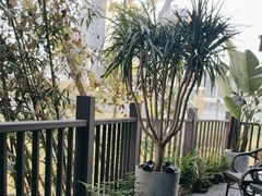 -状元人家·公园别墅衡东土菜(溪悦荟店)