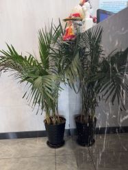 -TOP HAIR SALON