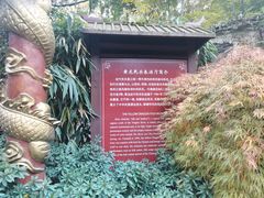 -杭州黄龙洞