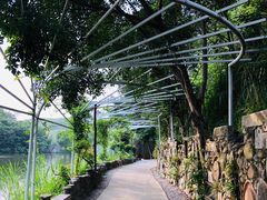 -美丽南方·老木棉匠园·团建烧烤·烤全羊