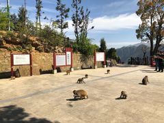 -重庆云阳龙缸景区