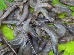 -豪巴斯海鲜牛排烤肉自助餐厅(悦然广场店)