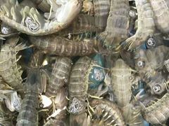 -宜宾海鲜酒家·三十年老字号