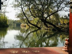 -西溪国家湿地公园