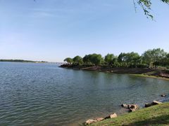 -丁香湖公园