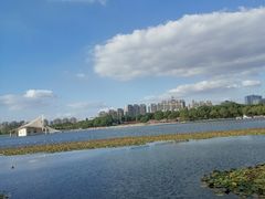 -暨阳湖生态园