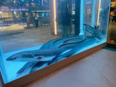 -莆田餐厅PUTIEN(西安万象天地店)