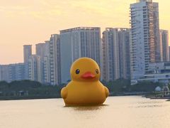 -深圳人才公园
