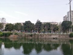 -光明港公园