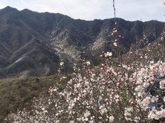 -龙泉峪长城