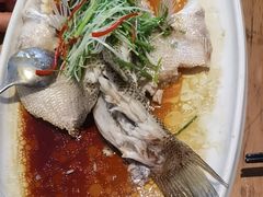 -YAFEE雅菲·粤菜·湘菜·融合菜(魏公村店)