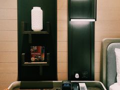 -新加坡瑞士史丹福酒店