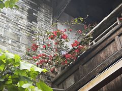 -黄龙溪古镇