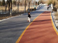 -大兴滨河森林公园