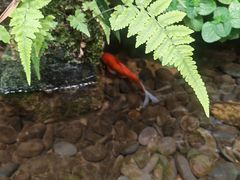 -颐而康·按摩·艾灸·足疗(汽车东站店)