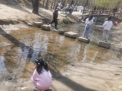 -白水寺森林公园