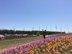 -河北村民俗体验园