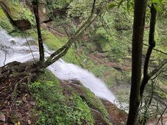 -中国大熊猫保护研究中心雅安碧峰峡基地