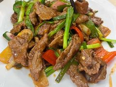 -源港渔村-中山脆肉鲩(博罗店)