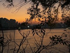 -江心屿景区
