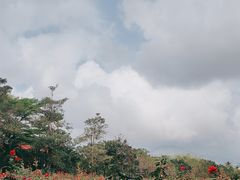 -亚龙湾国际玫瑰谷
