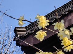 -钱王祠