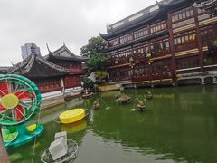 -绿波廊(豫园店)