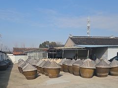 -苏州市吴中区光福窑上花果蜜饯厂