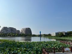 -海天湖公园