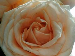 -好声音时尚量贩KTV(之心城店)