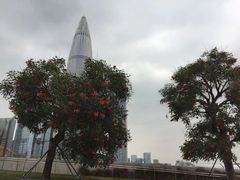 -深圳人才公园