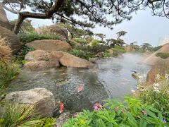 -罗红摄影艺术馆