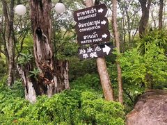 -绿光森林餐厅