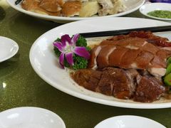 -黄埔华苑酒家(黄埔店)