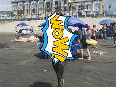 -台山黑沙湾海浴场