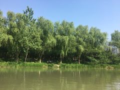 -昆山城市生态森林公园