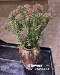 -威思丽高温瑜伽会馆