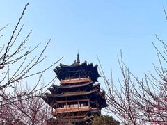 -杭州半山国家森林公园