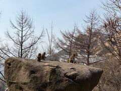 -青岛崂山太清宫