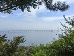 -星海湾跨海大桥