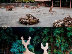 -金沙遗址博物馆