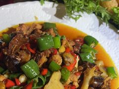 腾冲菌香尖椒鸡-小喜客·云南特色菜(纳西庭院店)